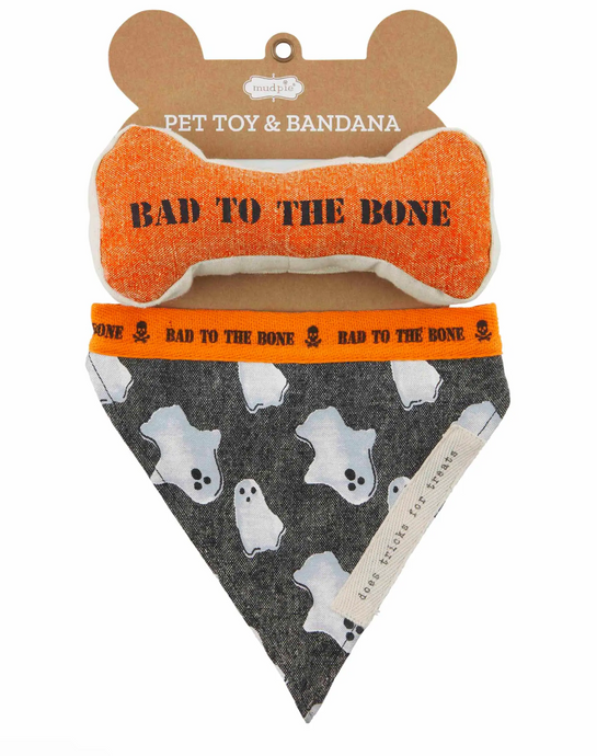 Halloween Pet Toy & Bandana
