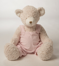 24" Teddy Bear