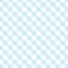Swaddle Blankets