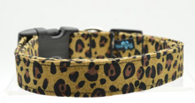 Large Dog Collar