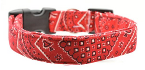 Small Dog Collar
