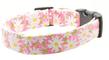 Large Dog Collar