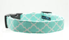 Small Dog Collar