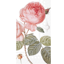Guest Towel Buffet Paper Napkins