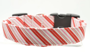 Large Dog Collar