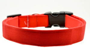 Large Dog Collar
