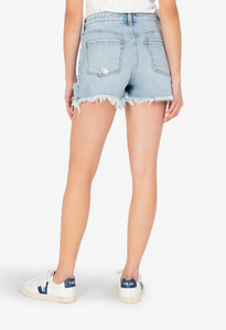JANE HIGH RISE SHORT (ROYAL WASH)