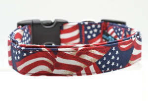 Small Dog Collar