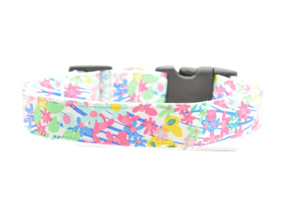 Large Dog Collar