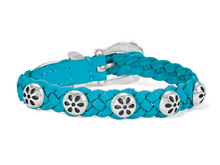 Daisy Bandit Bracelet - Brighton