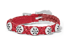 Daisy Bandit Bracelet - Brighton